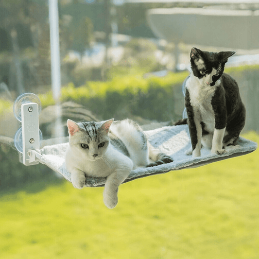 Lighteme Foldable hammock for cats