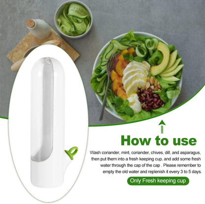 Lighteme Freshness-Preserving Veggie & Herb Storage Containers | BUY 1 GET 1 FREE (2PCS)