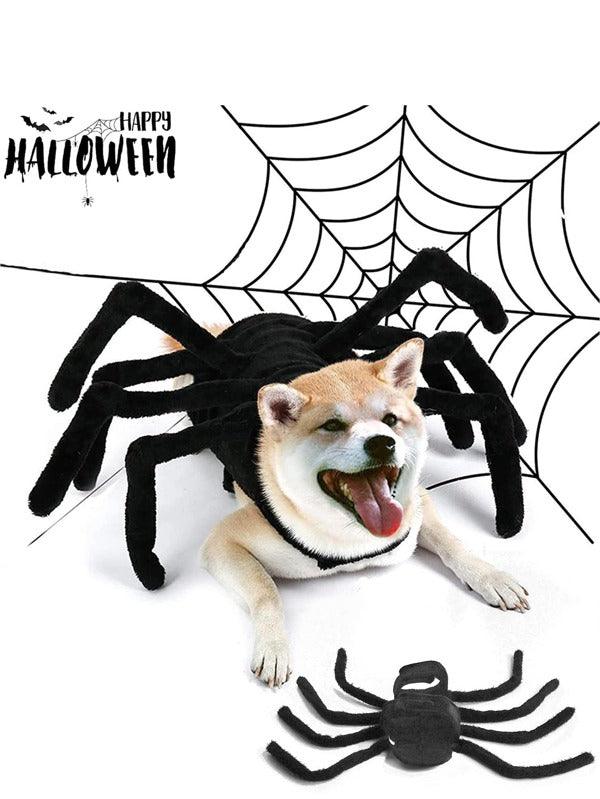 Lighteme Halloween Dog Spider Costume