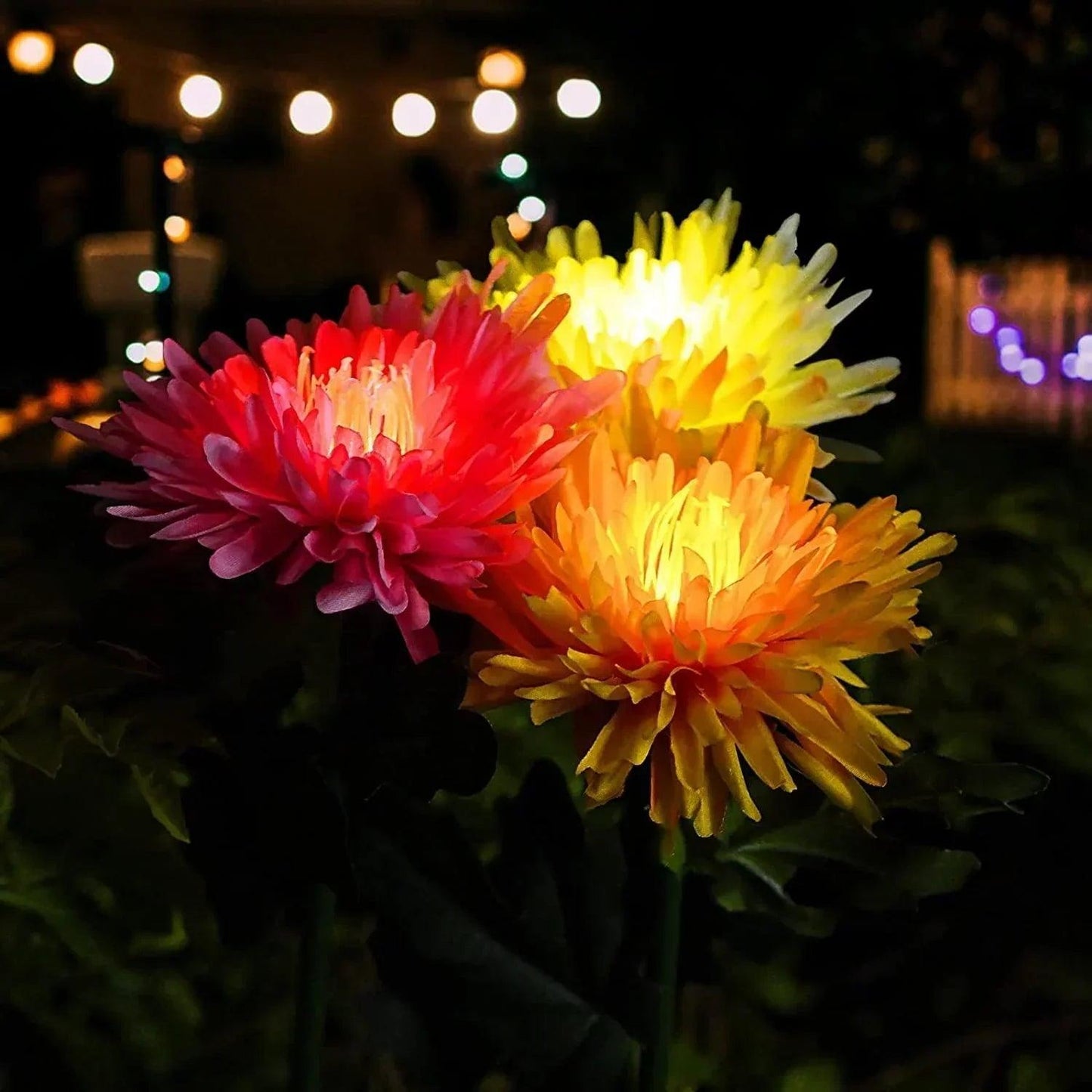 Lighteme Chrysanthemum solar garden plug LED