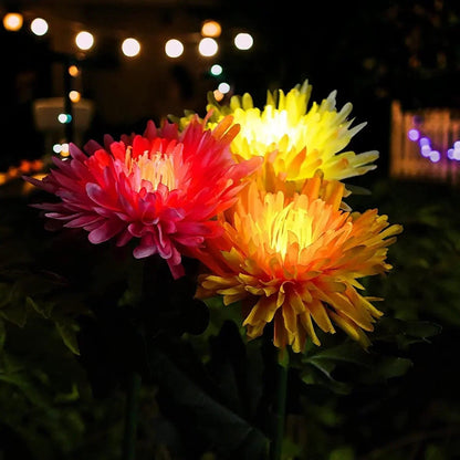 Lighteme Chrysanthemum solar garden plug LED