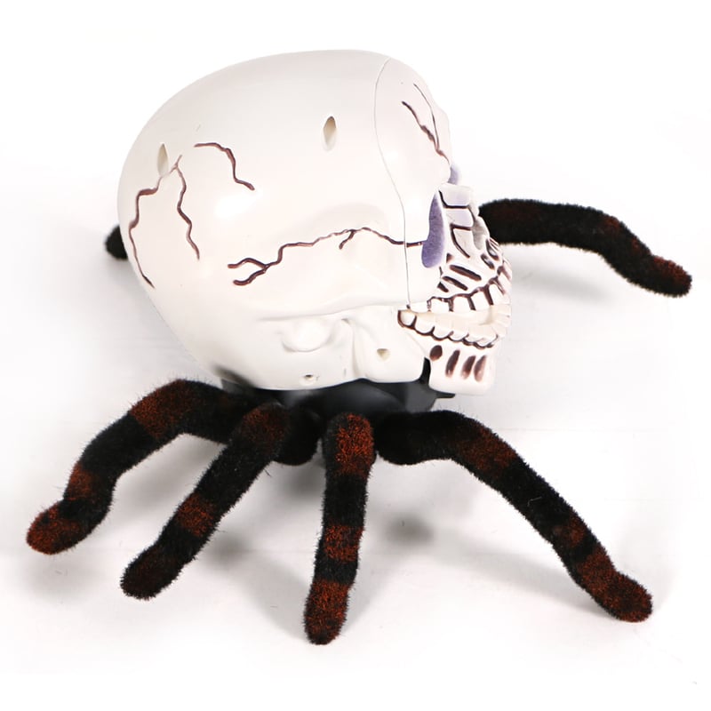 Lighteme Remote Control Halloween Skull Tarantula