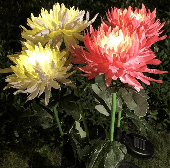 Lighteme Chrysanthemum solar garden plug LED