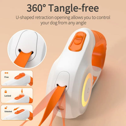 Lighteme dog leash for night walks