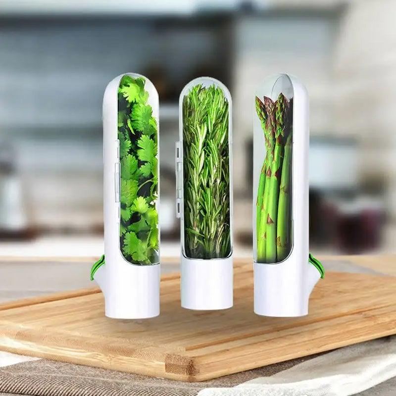 Lighteme Freshness-Preserving Veggie & Herb Storage Containers | BUY 1 GET 1 FREE (2PCS)