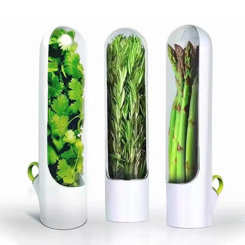 Lighteme Freshness-Preserving Veggie & Herb Storage Containers | BUY 1 GET 1 FREE (2PCS)