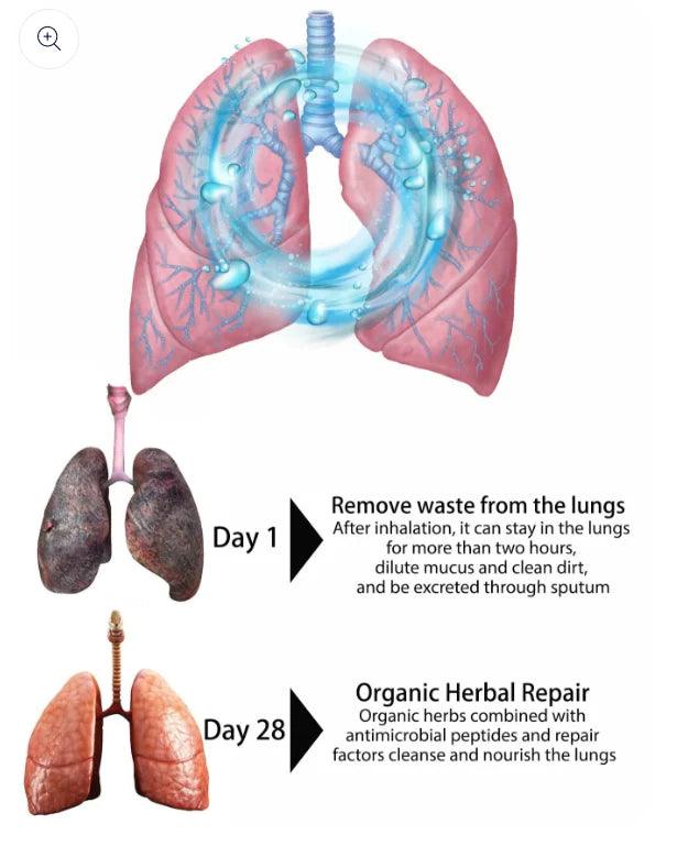 Lighteme Organic Herbal Lung Cleanse Repair Nasal Spray | BUY 1 GET 2