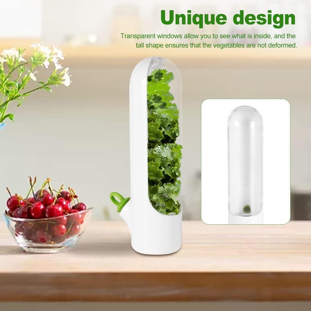 Lighteme Freshness-Preserving Veggie & Herb Storage Containers | BUY 1 GET 1 FREE (2PCS)