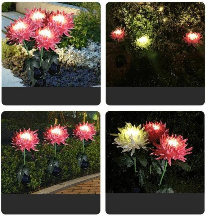 Lighteme Chrysanthemum solar garden plug LED