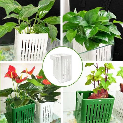 Lighteme Submersible Hanging Aquarium Plant Holder | BUY 1 GET 1 FREE (2PCS)