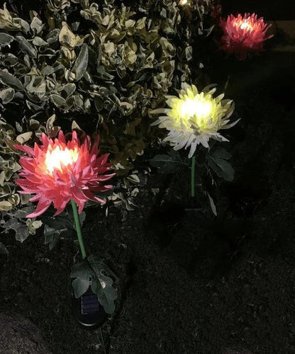 Lighteme Chrysanthemum solar garden plug LED