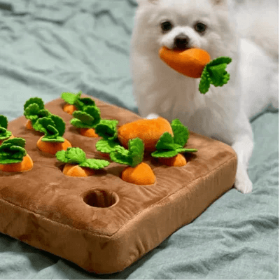 Lighteme Carrot Toy Let your pets play