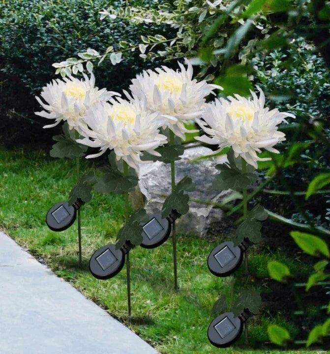 Lighteme Chrysanthemum solar garden plug LED