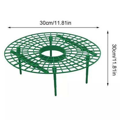 Lighteme Strawberry Planting Frame | BUY 2 GET 1 FREE (3PCS)