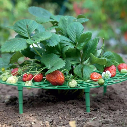 Lighteme Strawberry Planting Frame | BUY 2 GET 1 FREE (3PCS)