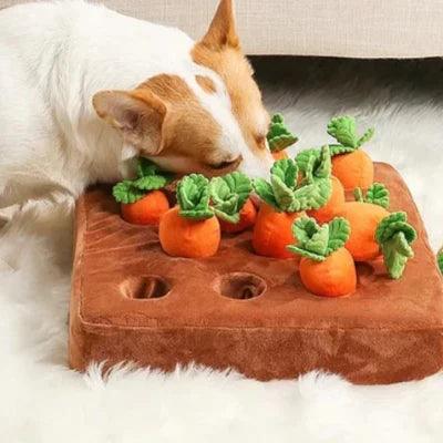 Lighteme Carrot Toy Let your pets play