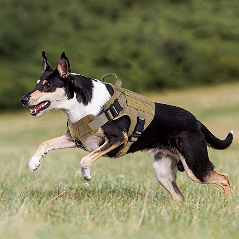 Lighteme Adjustable German Shepherd Tactical Dog Harness Vest With Handle Clearance