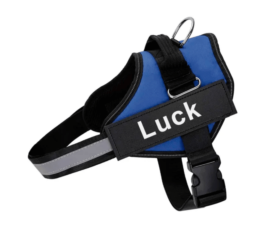 Lighteme Personalised Dog Harness