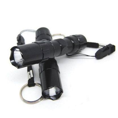 Lighteme Black Mini Waterproof Keychain LED Flashlight