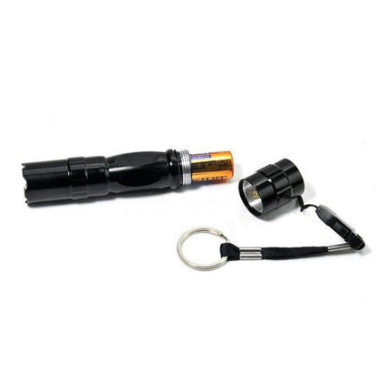 Lighteme Black Mini Waterproof Keychain LED Flashlight