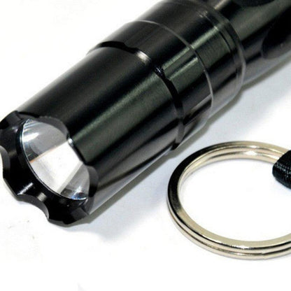 Lighteme Black Mini Waterproof Keychain LED Flashlight