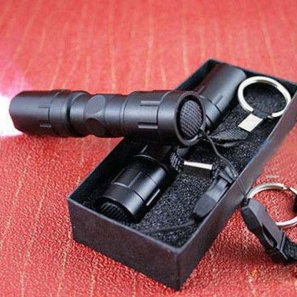 Lighteme Black Mini Waterproof Keychain LED Flashlight