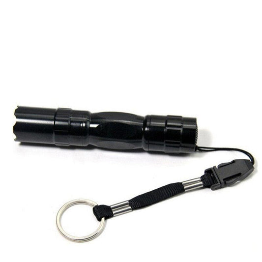 Lighteme Black Mini Waterproof Keychain LED Flashlight