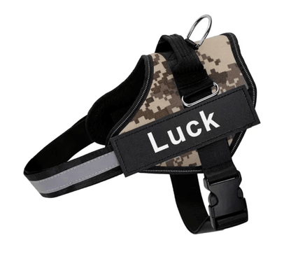 Lighteme Personalised Dog Harness