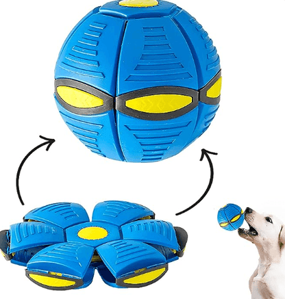 Lighteme Magic Flying Saucer Ball