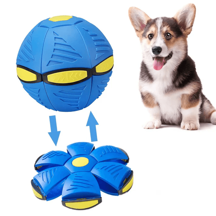 Lighteme Magic Flying Saucer Ball