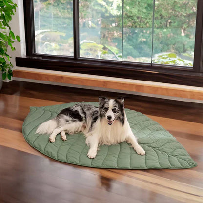 Lighteme Nature-Inspired Leaf Pet Blanket – Stylish and Comfortable