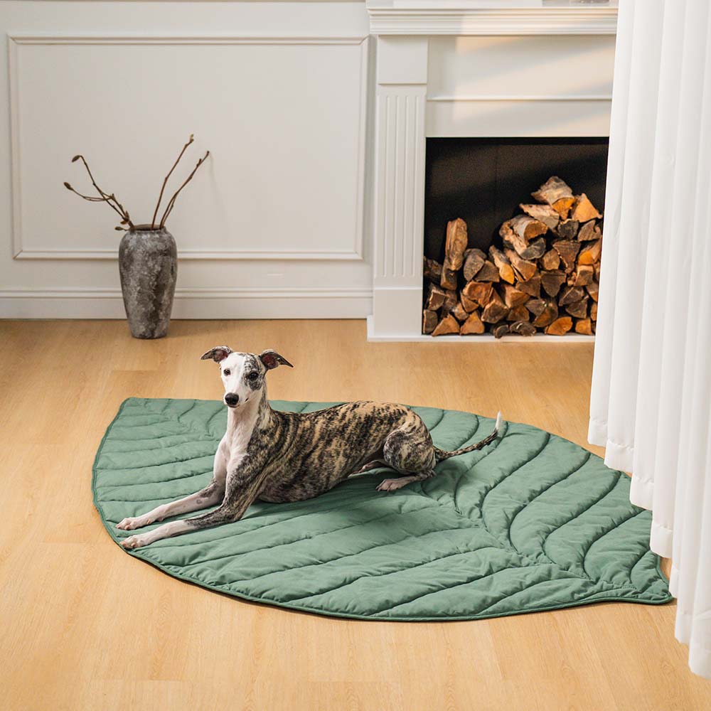 Lighteme Nature-Inspired Leaf Pet Blanket – Stylish and Comfortable