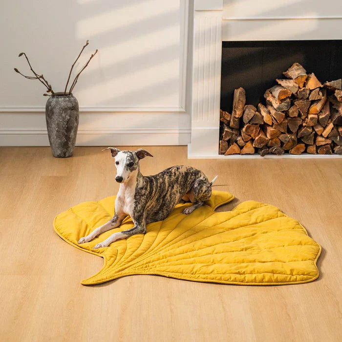 Lighteme Nature-Inspired Leaf Pet Blanket – Stylish and Comfortable