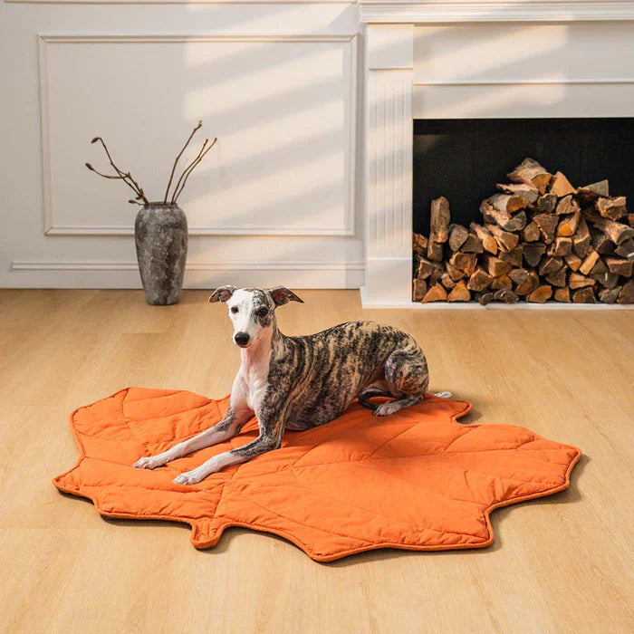 Lighteme Nature-Inspired Leaf Pet Blanket – Stylish and Comfortable