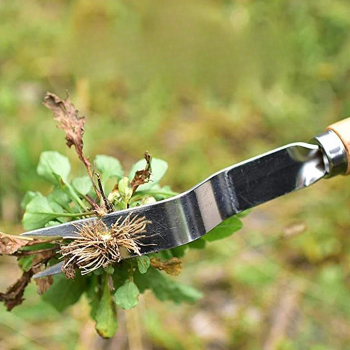 Lighteme Weeding fork Manual weed removal in the garden