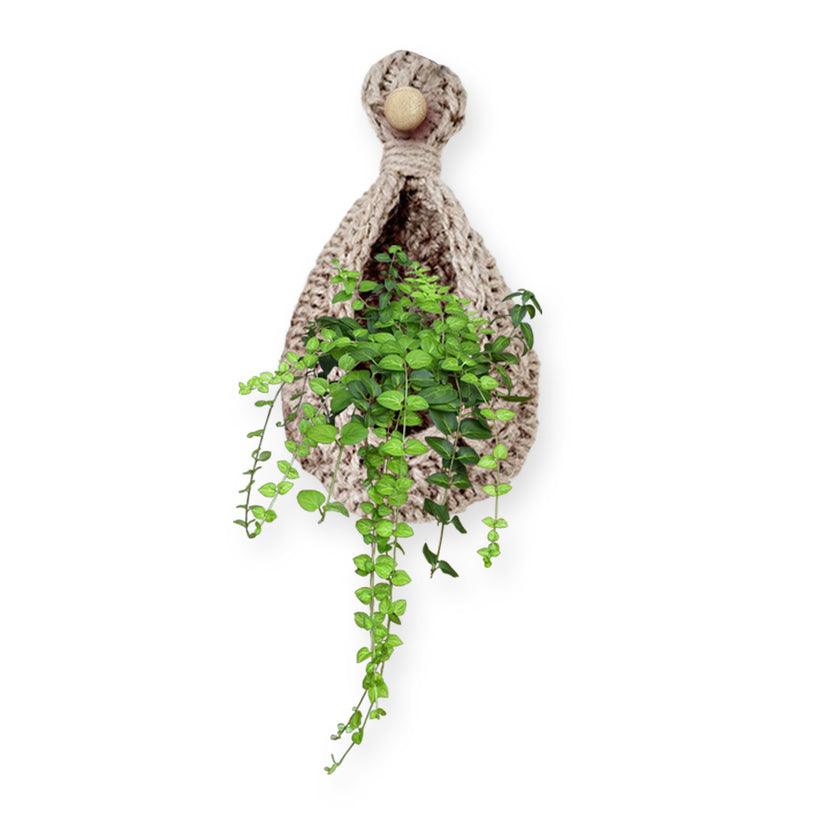 Lighteme Hanging Wall Planters | BUY 1 GET 1 FREE (2PCS)