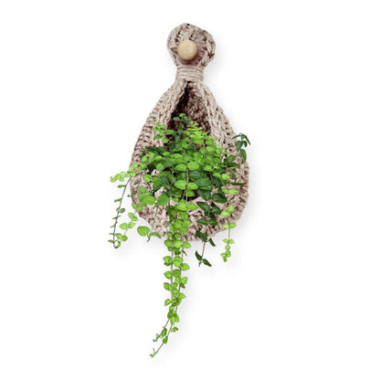 Lighteme Hanging Wall Planters | BUY 1 GET 1 FREE (2PCS)