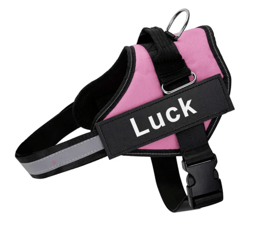 Lighteme Personalised Dog Harness