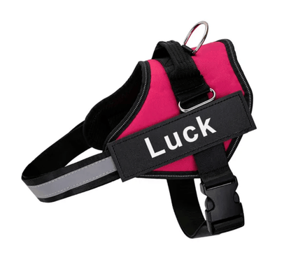 Lighteme Personalised Dog Harness