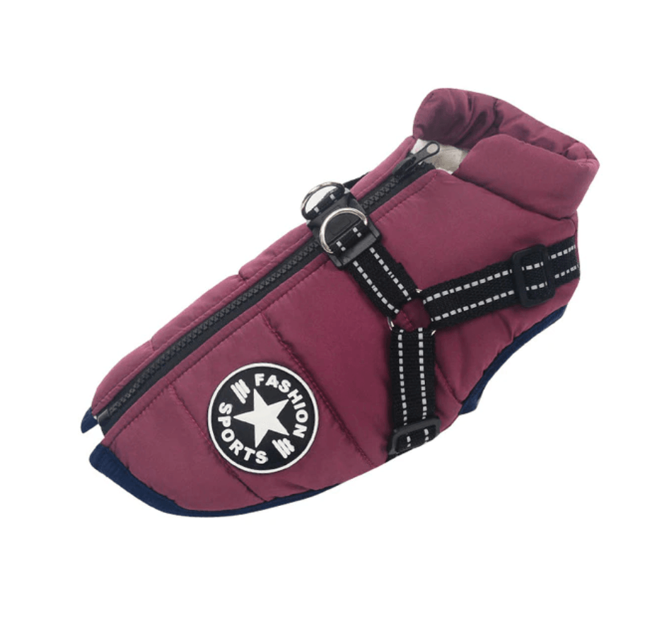 Lighteme 3 in 1 Dog Harness Jacket