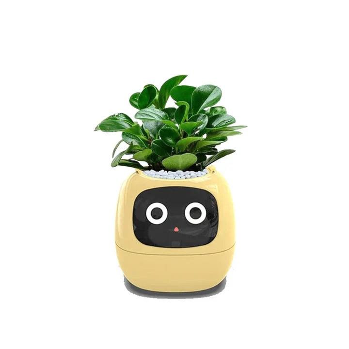 Lighteme AI plant pot