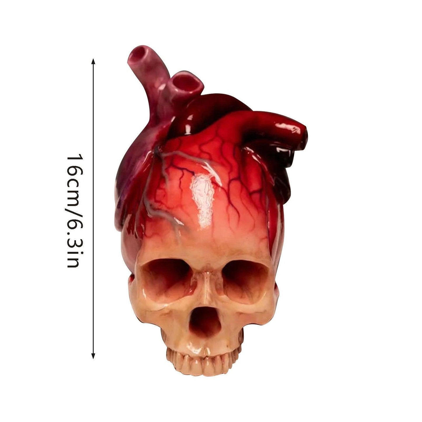 Lighteme Realistic Halloween Heart-Shaped Skull Sculpture