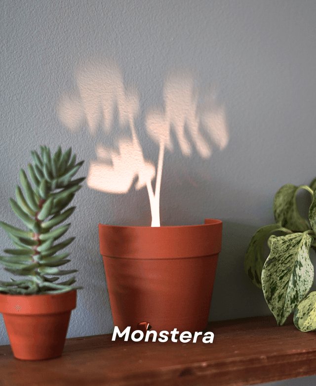 Lighteme Light Projections Plant Pot