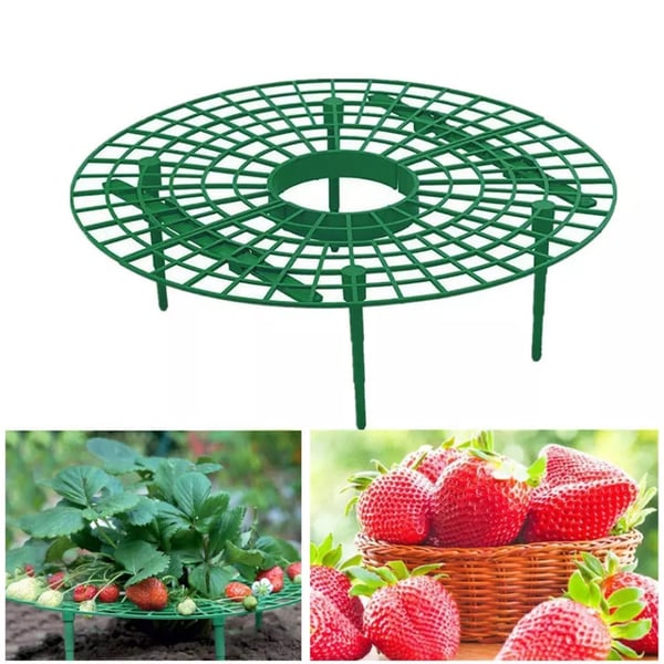 Lighteme Strawberry Planting Frame | BUY 2 GET 1 FREE (3PCS)