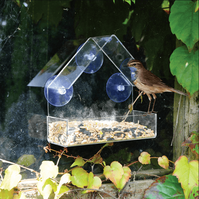 Lighteme Mountable clear birdhouse