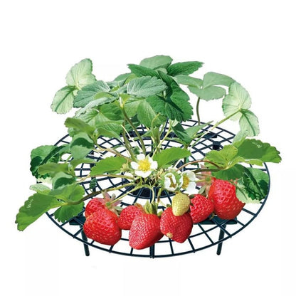 Lighteme Strawberry Planting Frame | BUY 2 GET 1 FREE (3PCS)