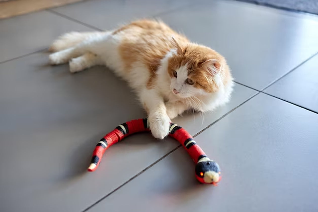 Lighteme Smart Snake toy for your cats