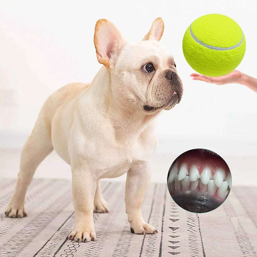 Lighteme Monster tennis ball for dogs