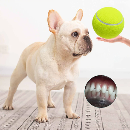 Lighteme Monster tennis ball for dogs