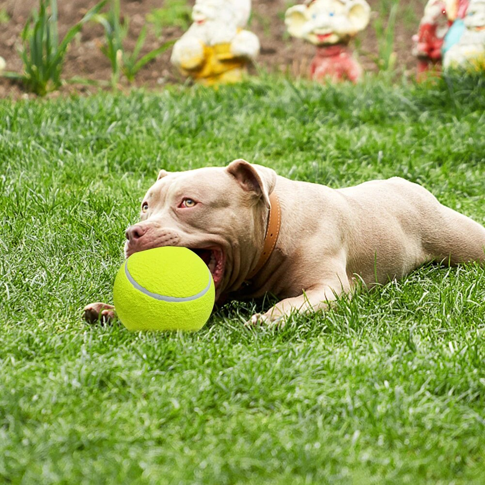 Lighteme Monster tennis ball for dogs